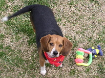 Whaddya mean, I can't bring the new toys outside?