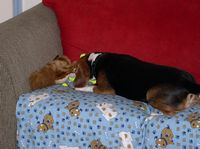 Queen Mandi and her toy stash
