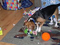 So many toys to choose from!