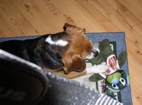 Thank you for the teddy bear, Aunt Lisa!