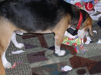 Grrrr, I'm gonna get this open, I'm gonna get this open...