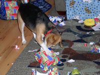 ...I'm gonna...I'm gonna...if it takes all day, I'm gonna get it open!