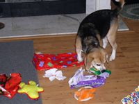 ...and more toys!