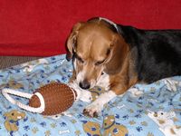 Mandi plays with her football...