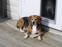 Mindi relaxes and enjoys the warm sunshine.