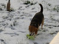 Hey, there's snow on my toy!