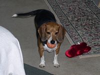 While her brother is otherwise occupied, Mandi takes off with the ball