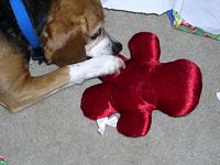 Mindi plays with her Christmas Present from "Aunt Lisa"