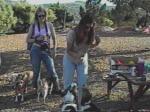 Lexi and Shawna with several beagles