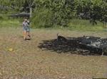 Lynn chases a "stray" beagle