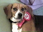 See my pretty ribbon?  I'm three years old!