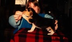 Sammi at about 6 weeks old, with handler Jessica Meier