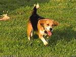 I'm comin'!