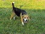 Will ya throw it already???