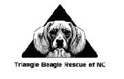 Visit TriBeagles Rescue today!
